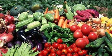 皖校食堂攜手，愛(ài)心采購(gòu)助農(nóng)惠學(xué)