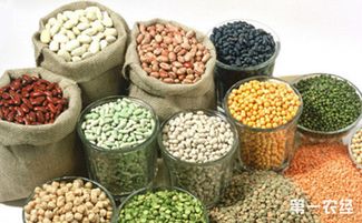 山西聚焦特色資源，擬10月確定20個(gè)獨(dú)有功能農(nóng)產(chǎn)品品牌