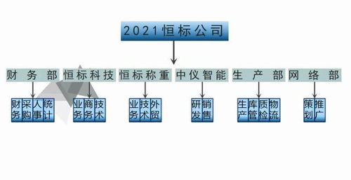恒標(biāo)公司2021年發(fā)展戰(zhàn)略 聚焦物聯(lián)網(wǎng)技術(shù)研發(fā)，驅(qū)動(dòng)智能化未來(lái)